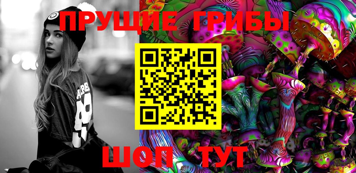 Галлюциногенные грибы Cubensis Благовещенск